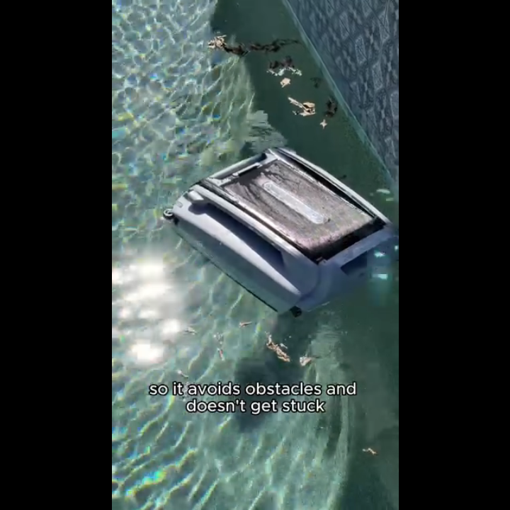 Betta · bettabot.com