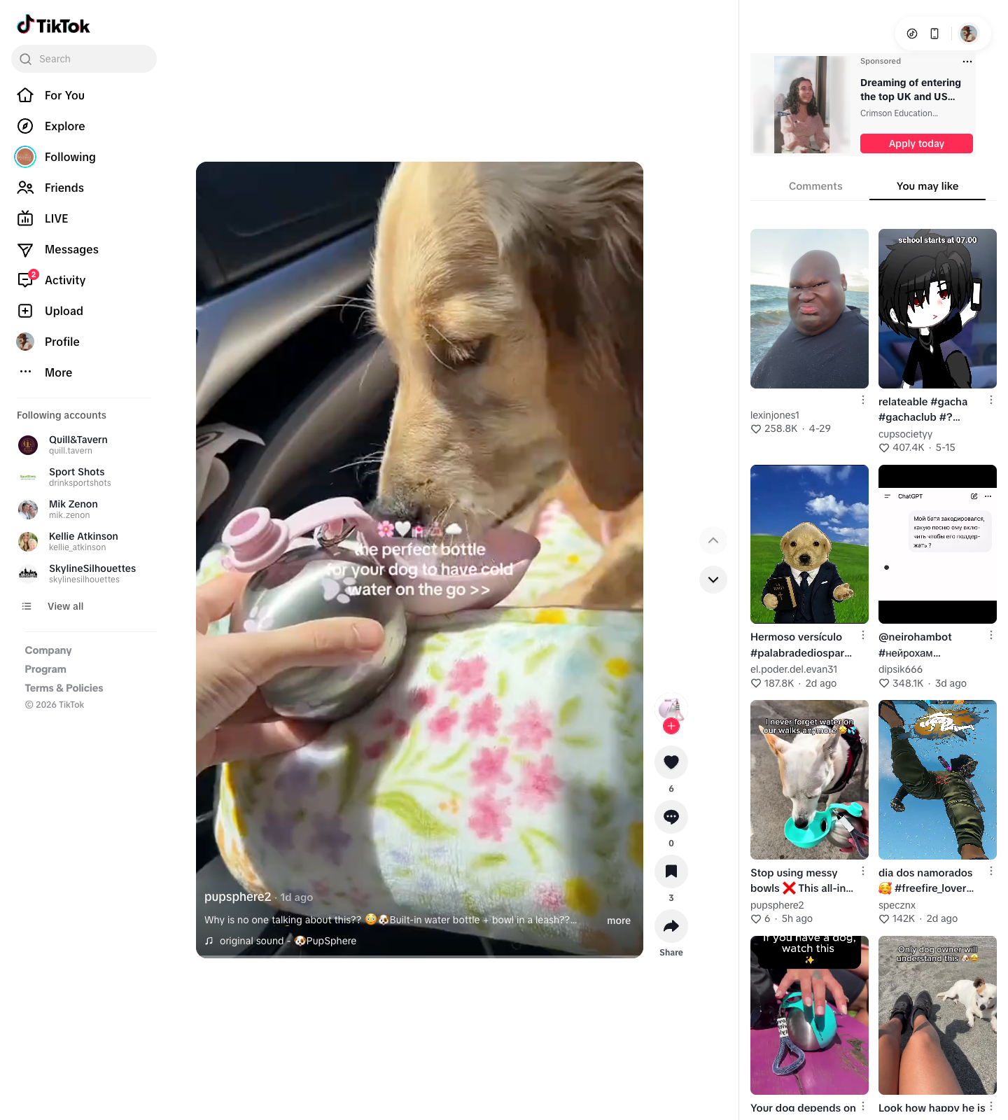 Why is no one talking about this?? 😳🐶